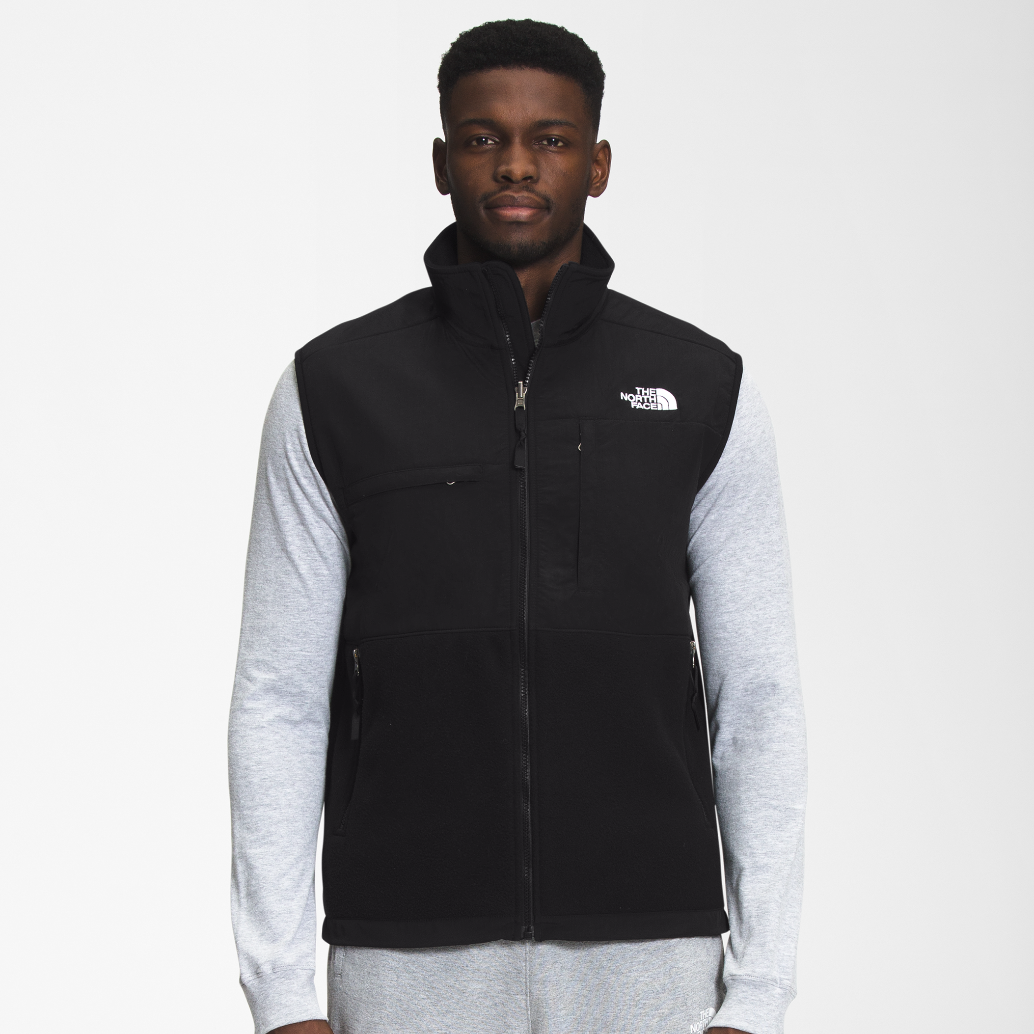 THE NORTH FACE DENALI 2 JACKET – Qlassic